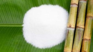 Godavari Biorefineries – India